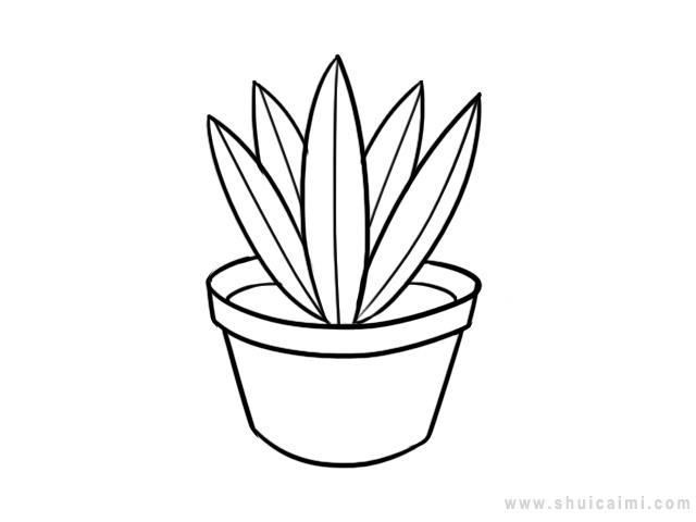 盆栽简笔画怎么画 盆栽简笔画好看
