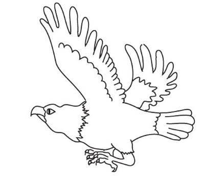 老鹰简笔画 老鹰简笔画简单