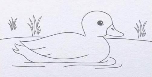 鸭子的简笔画 鸭子的简笔画简单又好看