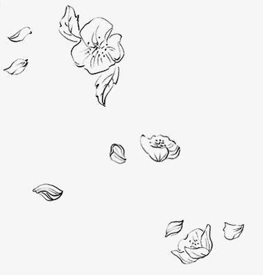 花瓣的简笔画图片大全 花瓣的简笔画图片大全大图