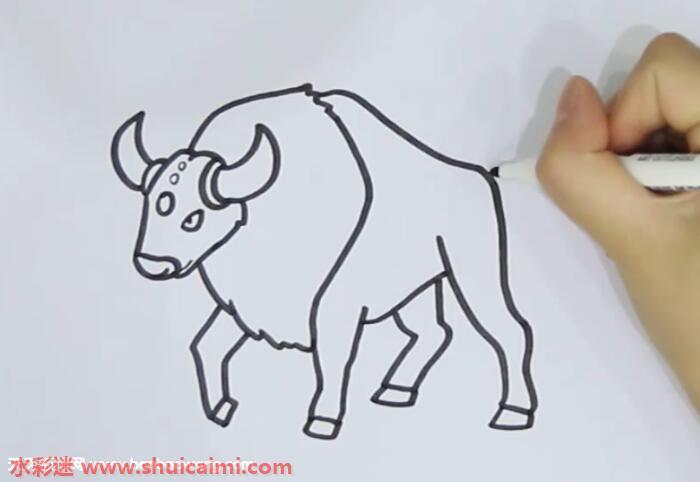 肯泰罗怎么画 肯泰罗简笔画漂亮