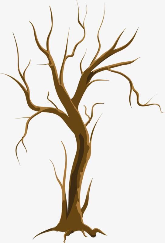 树干简笔画 树干简笔画简单又好看