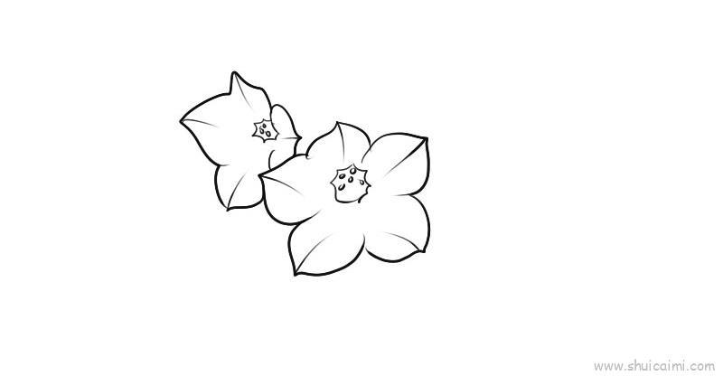 烟草花儿童画怎么画 烟草花简笔画图片