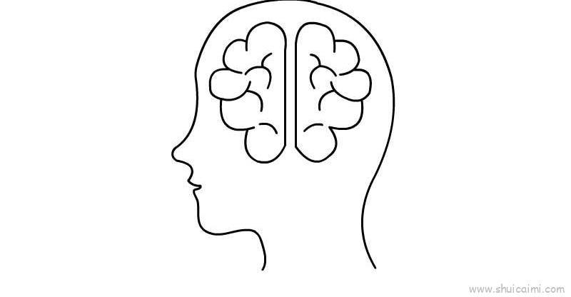 大脑儿童画怎么画 大脑简笔画好看