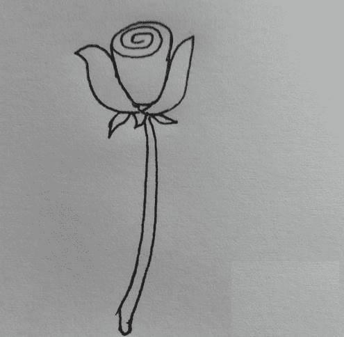 玫瑰简笔画 玫瑰简笔画简单又好看