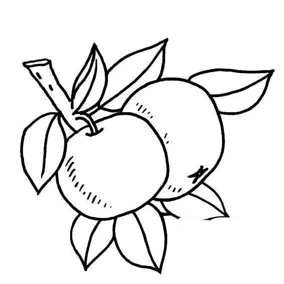 苹果图片简笔画 怎么画苹果简笔画图片