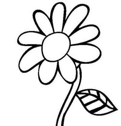 花简笔画图片大全大图 玫瑰花简笔画图片带颜色