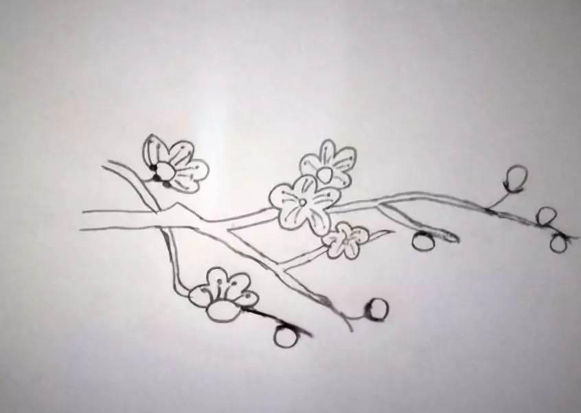 梅花树简笔画 梅花树简笔画手绘