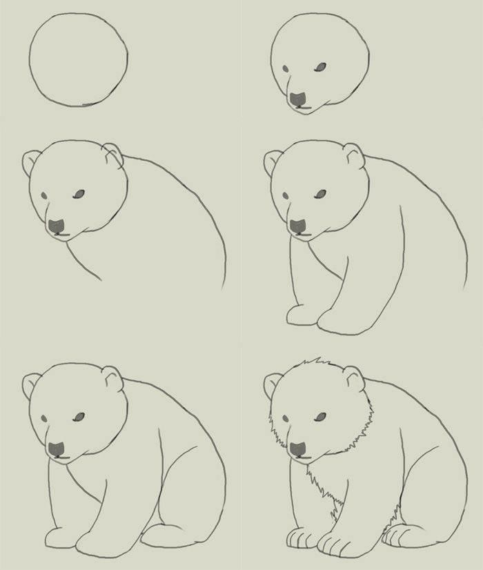 熊简笔画 熊简笔画简单