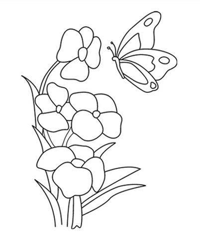 蝴蝶简笔画 蝴蝶简笔画彩色