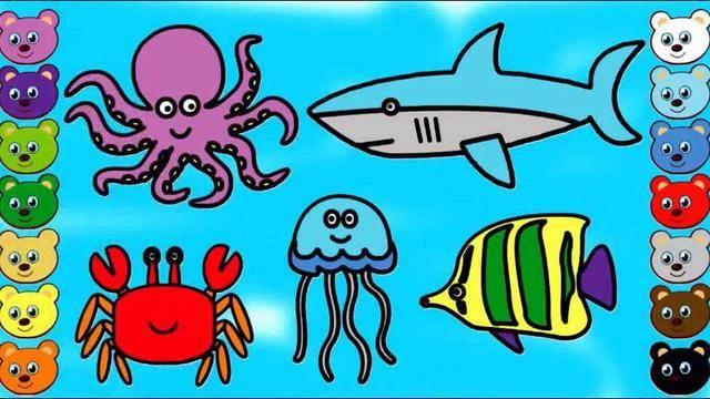 海洋生物简笔画 海洋生物简笔画彩色