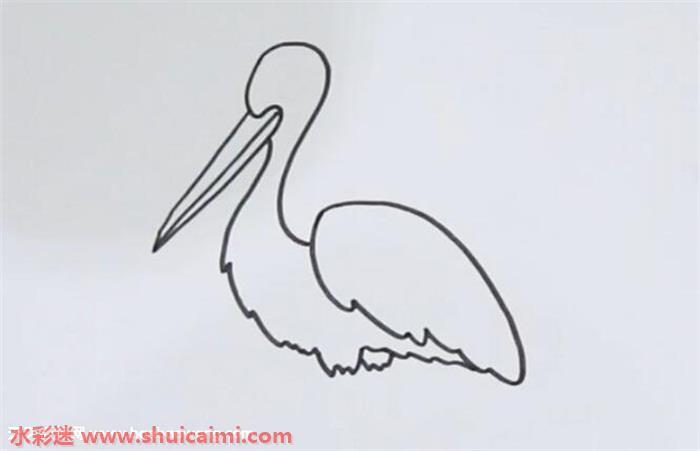 鹤怎么画 鹤简笔画简单好看带颜色