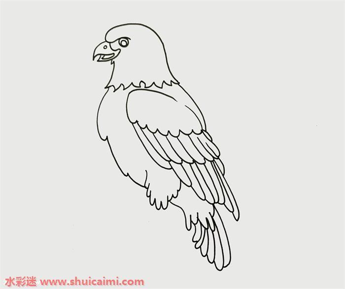 老鹰怎么画 老鹰简笔画步骤