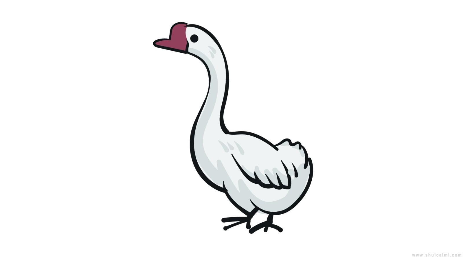 大白鹅简笔画怎么画 大白鹅简笔画图片