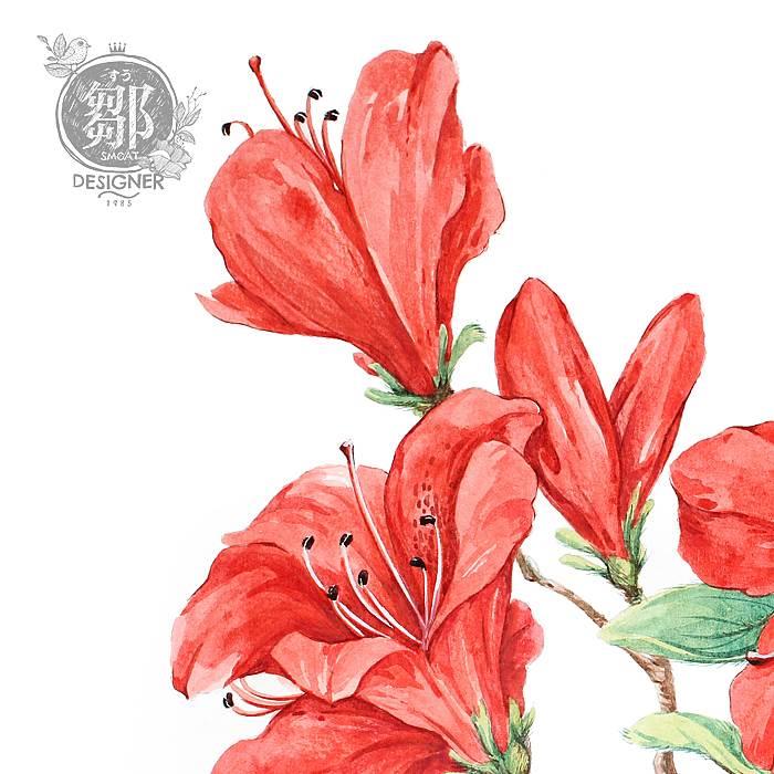 映山红简笔画 映山红简笔画儿童