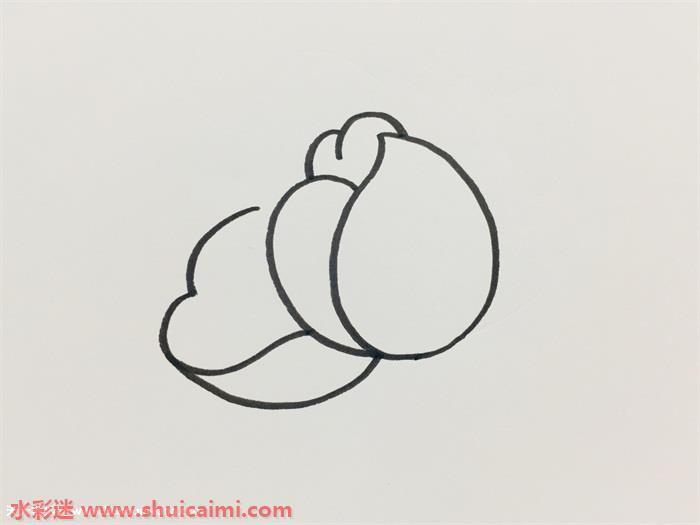 芍药怎么画 芍药简笔画简单彩色