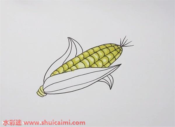 玉米怎么画 玉米简笔画简单易画彩色