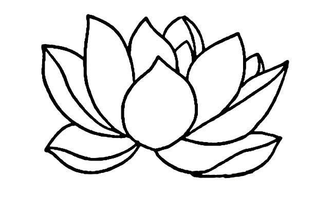荷花简笔画 荷花简笔画图片