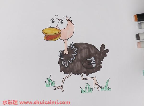 鸵鸟怎么画 鸵鸟简笔画简单易画彩色