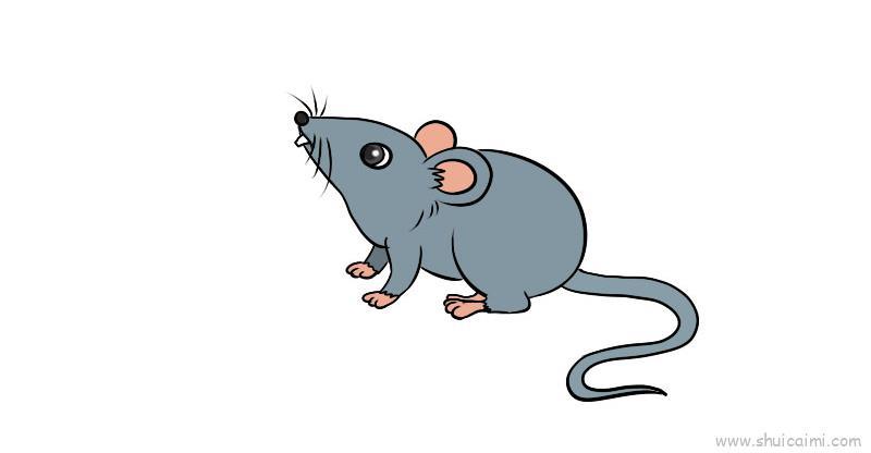 老鼠儿童画怎么画 老鼠简笔画好看
