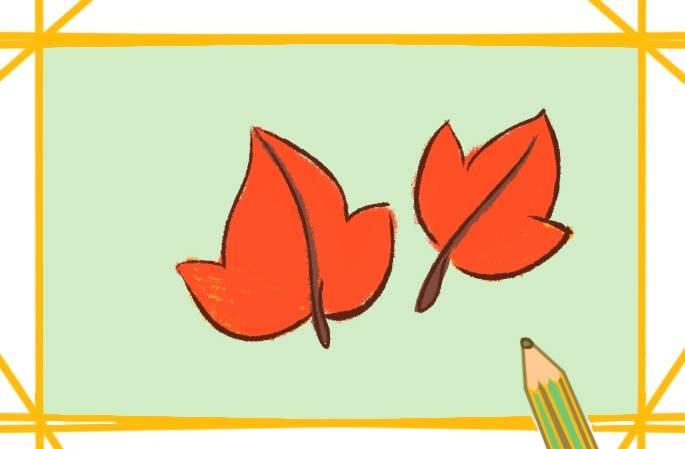 枫叶简笔画 枫叶简笔画图片大全