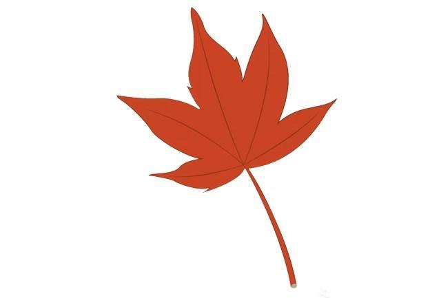 枫叶简笔画 枫叶简笔画图片大全