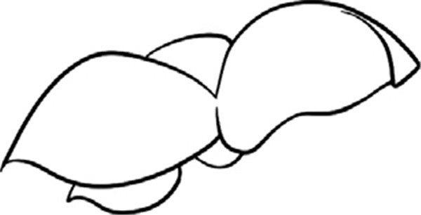 小小的樱桃简笔画怎么画 小小的樱桃简笔画步骤