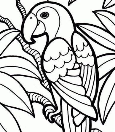 简笔画小鸟 简笔画小鸟可爱简单漂亮