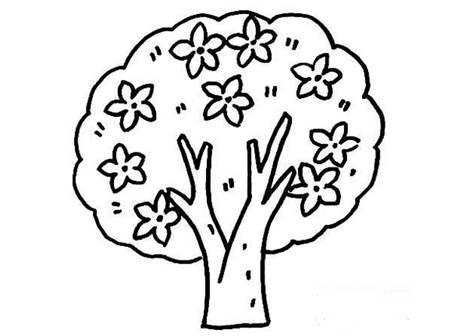 桃花简笔画 桃花简笔画简单又好看