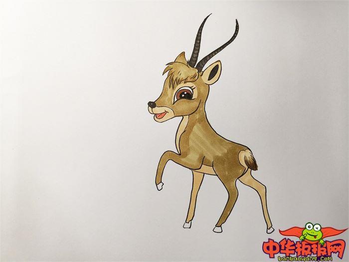 小藏羚羊怎么画 小藏羚羊简笔画画法