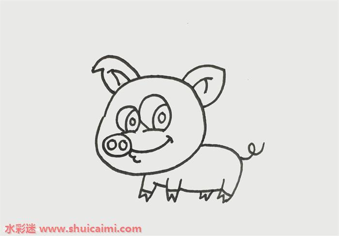 猪猪怎么画 猪猪简笔画彩色