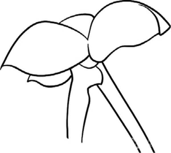 小小的樱桃简笔画怎么画 小小的樱桃简笔画步骤