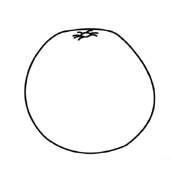 柚子简笔画 柚子简笔画图片大全