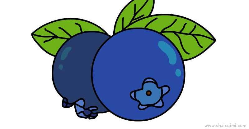 蓝莓儿童画怎么画 蓝莓简笔画步骤
