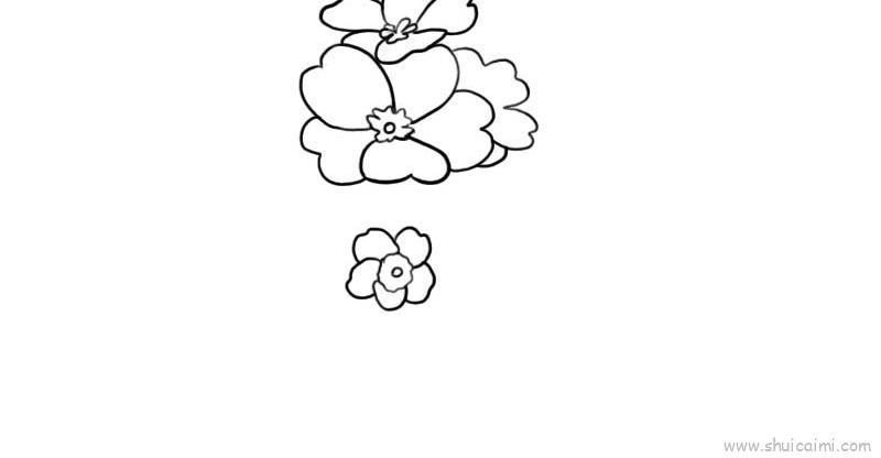 樱花草儿童画怎么画 樱花草简笔画简单