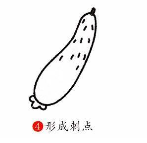 黄瓜简笔画 黄瓜简笔画图片