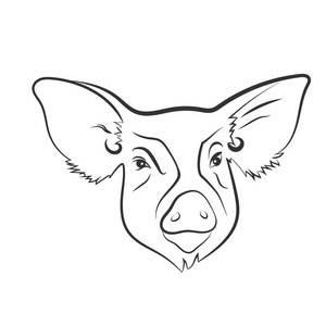 猪头简笔画 猪头简笔画图片大全可爱