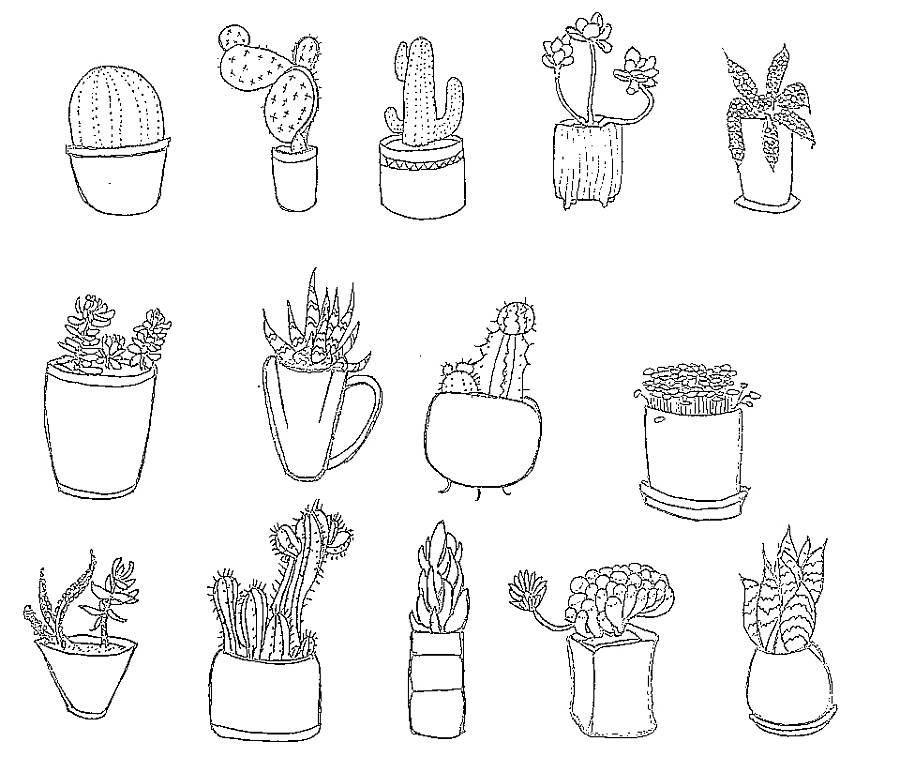 多肉简笔画 多肉简笔画图片大全