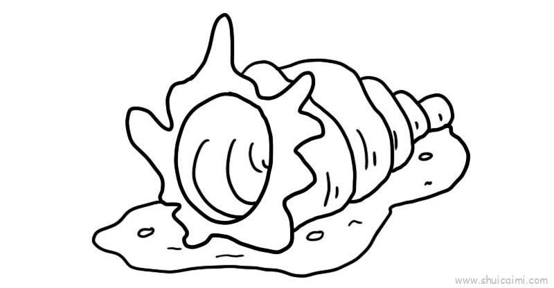 海螺儿童画怎么画 海螺简笔画简单