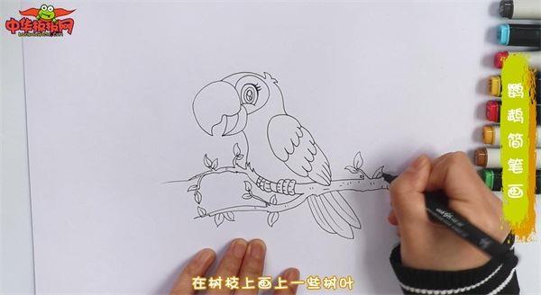鹦鹉怎么画 鹦鹉简笔画画法