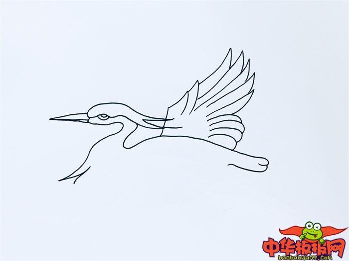飞翔白鹭怎么画 飞翔白鹭简笔画画法
