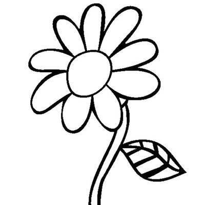 菊花的简笔画 菊花的简笔画图片