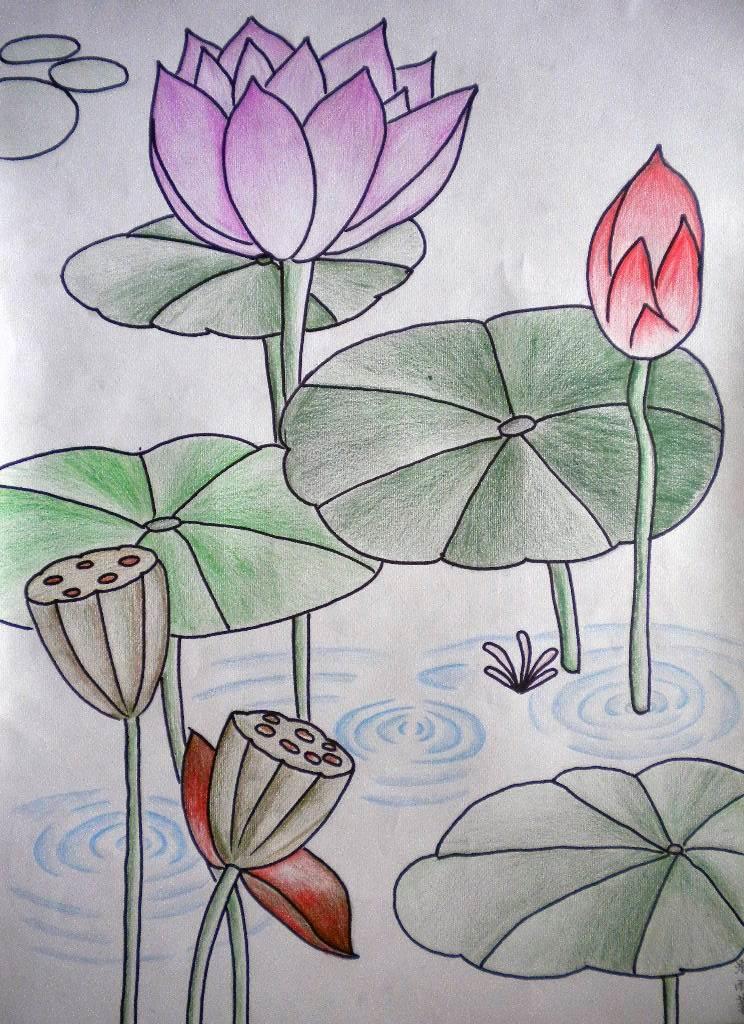 夏天简笔画图片大全集 夏天简笔画儿童画图片