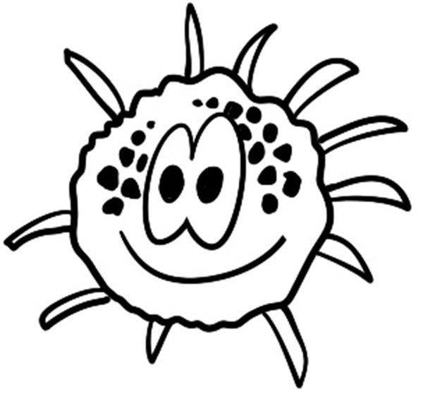 灿烂的雏菊简笔画怎么画 灿烂的雏菊简笔画图片