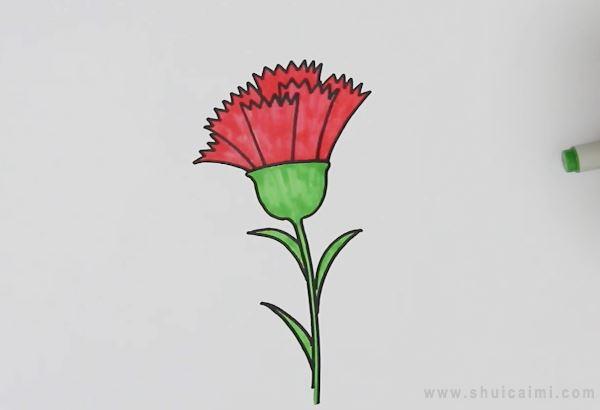 康乃馨简笔画怎么画 康乃馨简笔画简单又好看