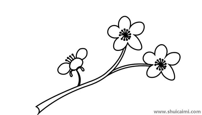 樱花简笔画怎么画 樱花简笔画画法