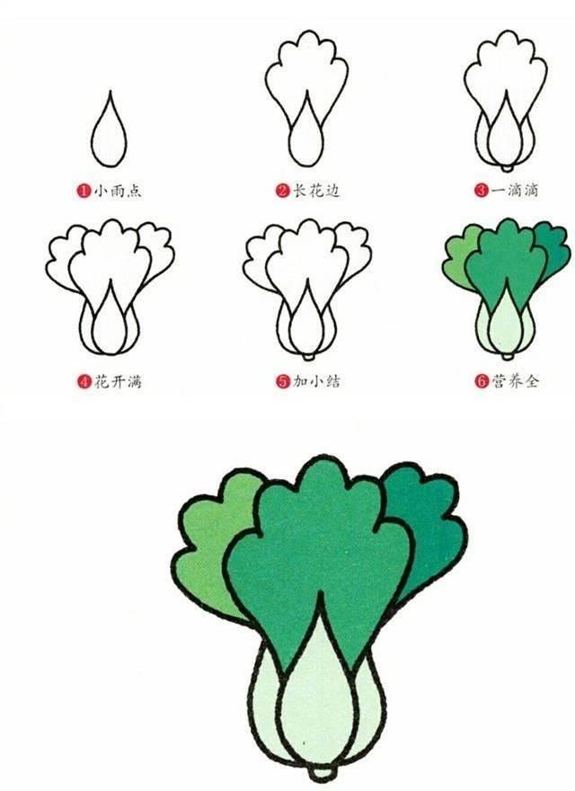 菜简笔画 菜简笔画简单