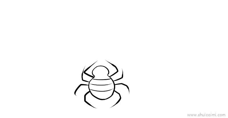 蜘蛛网儿童画怎么画 蜘蛛网简笔画好看