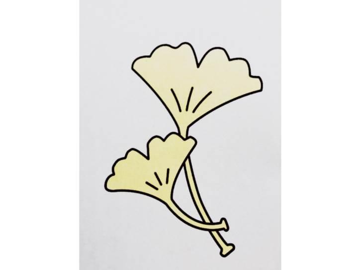 银杏叶简笔画 银杏树简笔画简单又好看