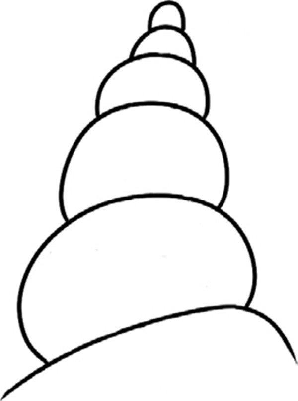 旋转的海螺的简笔画怎么画 旋转的海螺简笔画顺序